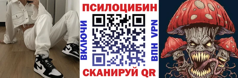Купить  Кубинка  Галлюциногенные грибы Psilocybine cubensis 